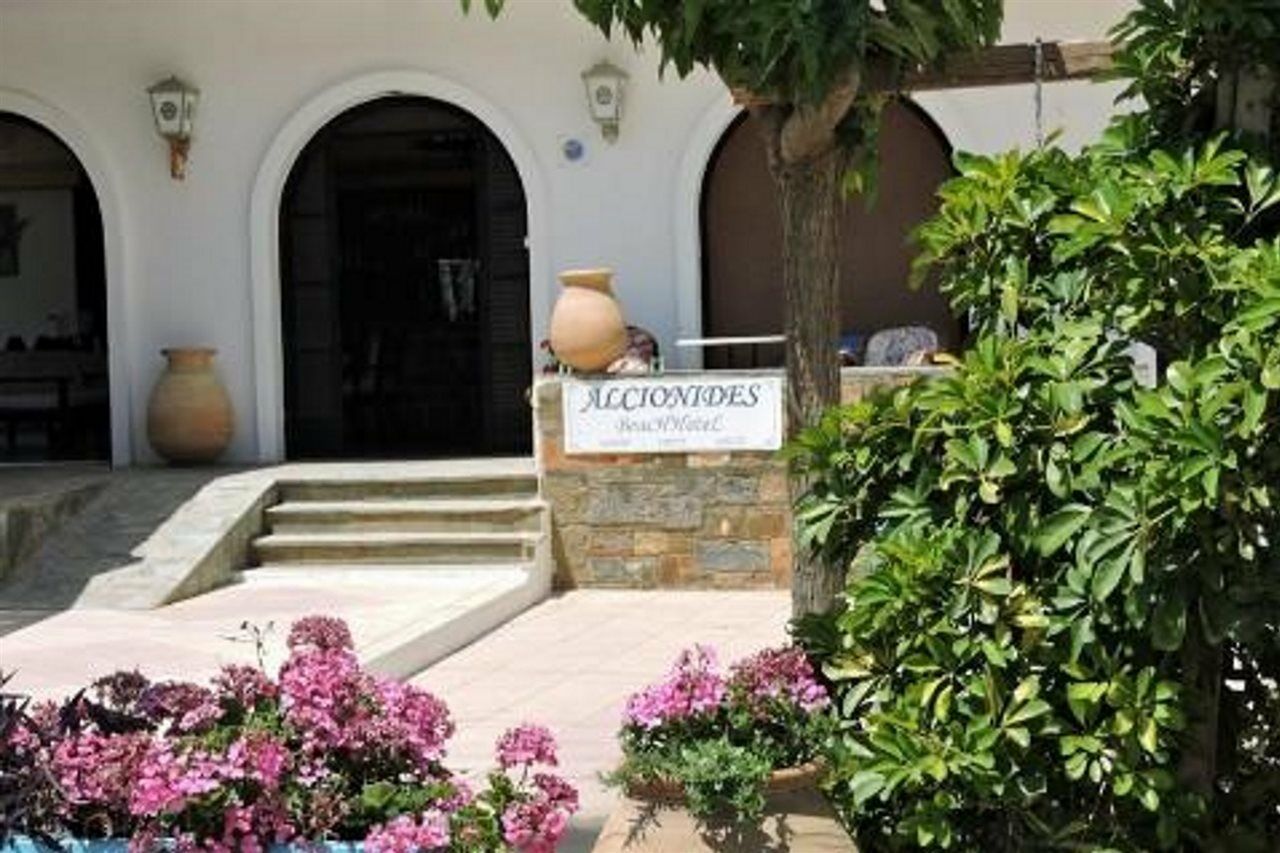 Alkyonides Beach Hotel Malia Exterior foto